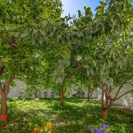 意大利酒店 酒店